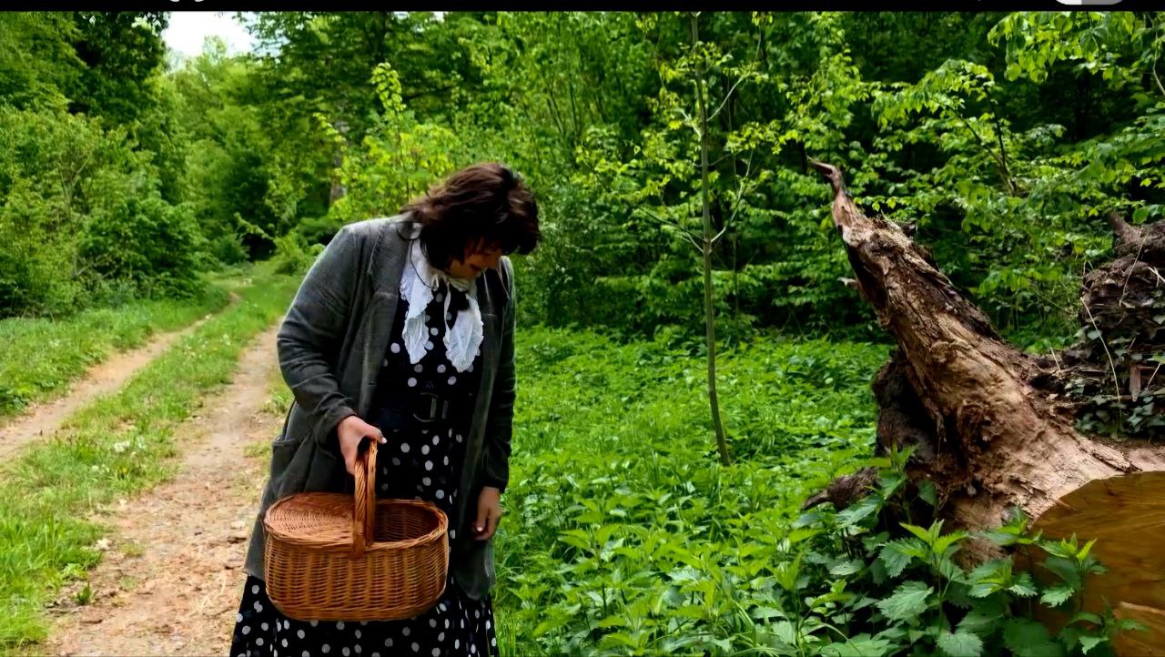 Wildkr�uter-Seminar im Havelland � Sommer